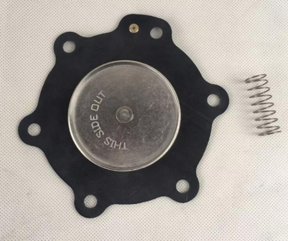 Membrane C113825 Asco Goyen
