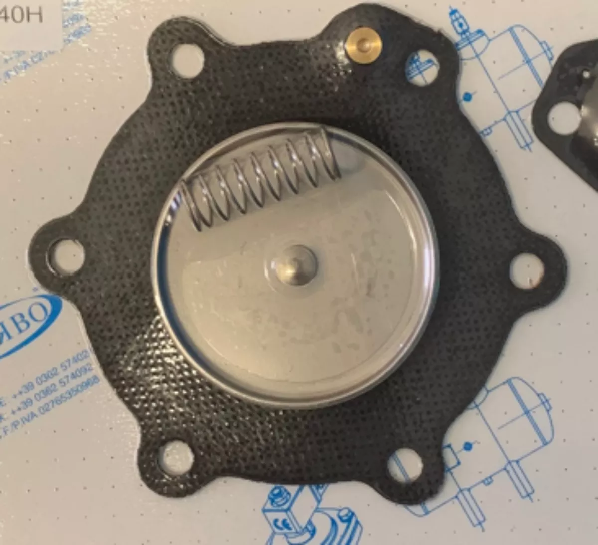 Membrane C113825 Asco Goyen